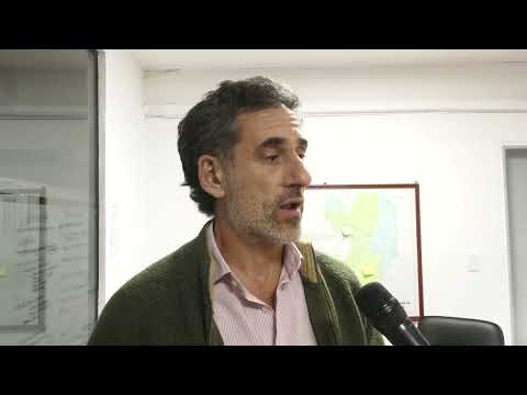 Salta articuló una posición regional frente a la nueva normativa sobre el ingreso de bananas