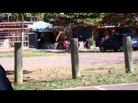 la playa    feat  gryzzly and mini moi