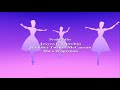Barbie In The 12 Dancing Princesses Opening Theme Extended