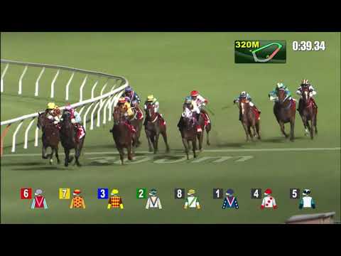 22/9/2021 (52) Harmony N Blessed - Z Purton