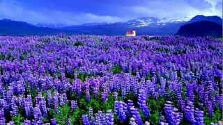 Robyn - Call Your Girlfriend [HQ]