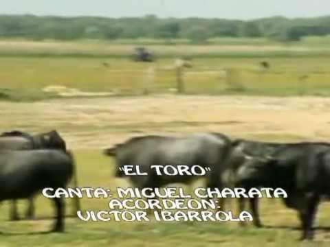 EL TORO-(THE BULL )VERSION CANTADA POR MIGUEL CHARATA.mpg