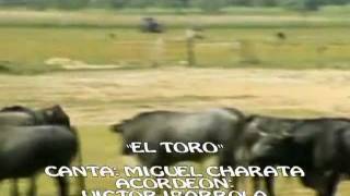 EL TORO-(THE BULL )VERSION CANTADA POR MIGUEL CHARATA.mpg