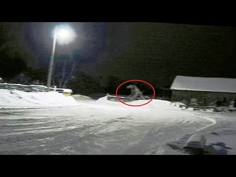 Shocking Dogman Encounters and Sightings Paranormal Before It's News