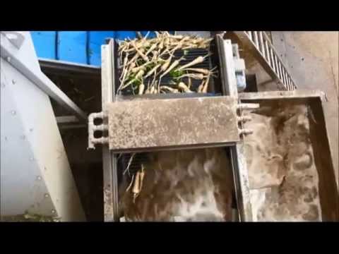 Haith Parsnip Washing & Grading Line