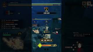【MHR】やっぱラージャンなんだよなぁ