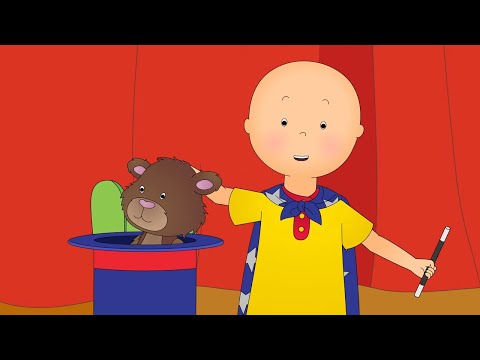 O show de talentos da escola | Caillou Português - WildBrain | Desenhos para crianças