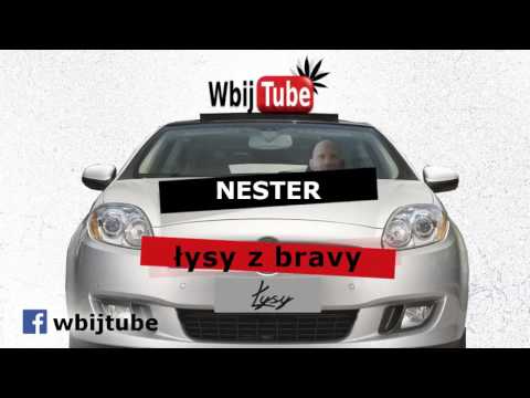 Nester- łysy z bravy