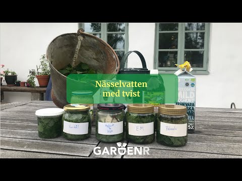 Nässelvatten med tvist - Trädgårdshacks med GardenR