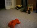 J And Elmo2