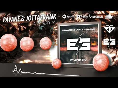 PAVANE & JOTTAFRANK - MONKEY // ELEKTROSHOK RECORDS