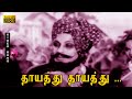 தாயத்து தாயத்து பாடல் HD M G ராமசந்திரன்