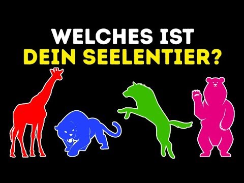 Welches ist dein Seelentier? Ein cooler Persönlichkeitstest