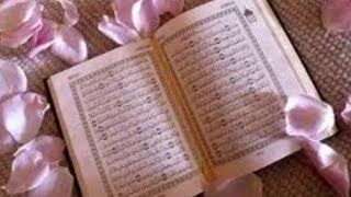 Download lagu Al-Qur'an Di Baca II murottal Video II #shorts mp3 Download lagu Al-Qur'an Di Baca II murottal Video II #shorts mp3