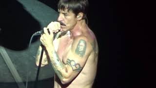 Red Hot Chili Peppers- Don&#39;t Forget Me LIVE Sydney