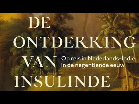 De ontdekking van Insulinde - VLOGBOEK