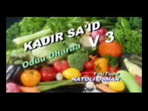 Kadir Seid Old #Oromo music