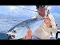 The Best Shark Bait Guaranteed To Attract Big Sharks And How To Rig It