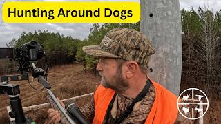 A Day of Hunting Around Dogs in MS