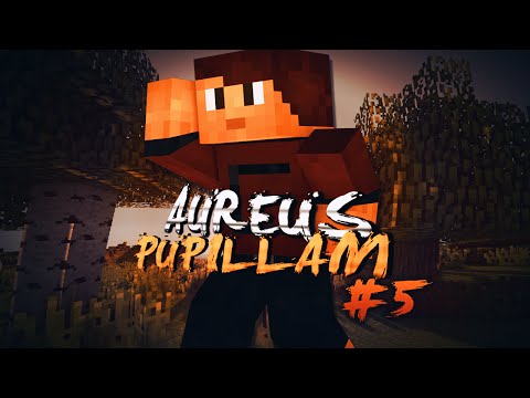 Aureus Pupillam UHC: S7E5 - Chaos