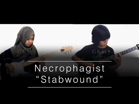 Necrophagist - Stabwound [Guitar Cover]