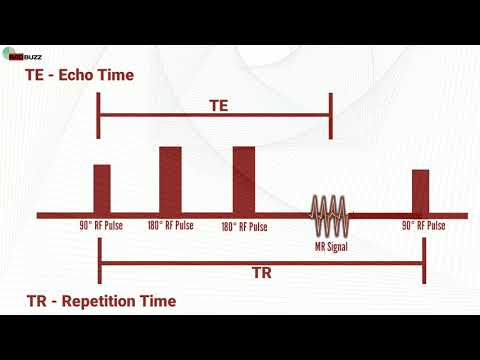 What is TE and TR in MRI?