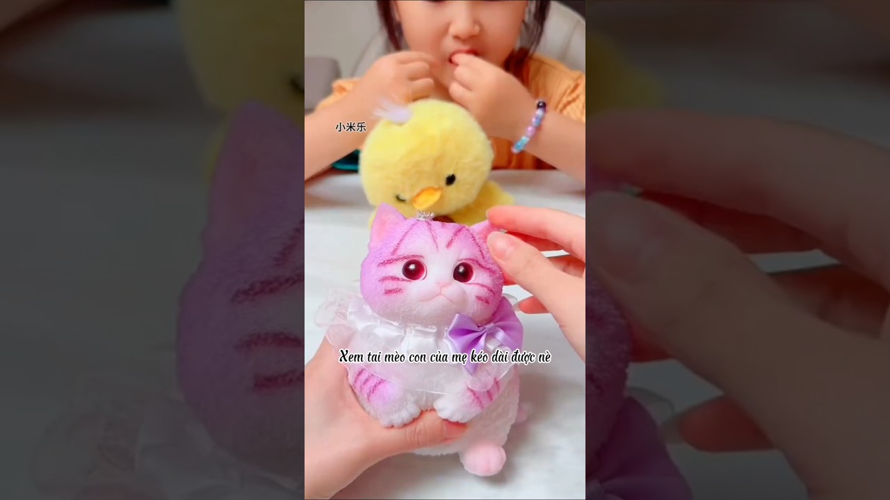 Mèo con bóp dẻo có thể kéo dài