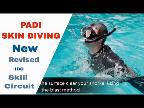 Skin Dive Scuba Diving - PADI IDC Skills Circuit • Divemaster Skills
