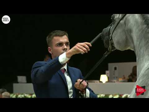 N.53 ADELITA - Paris 2018 - Senior Mares (Class CM 3A)