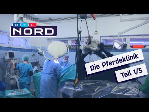 Die Pferdeklinik Teil 1: Mit Radioaktivität die Ursache von Lahmheit finden