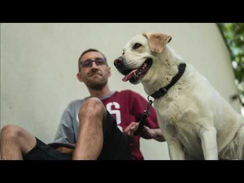 LUBOS KREWNY - Sam (Bit JUE)