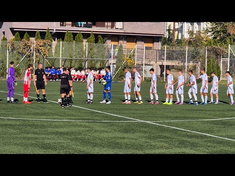 Fk Čukarički 2011 - Fk Crvena zvezda 2011 rezultat 1:0