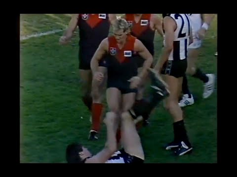 A bloody Brian Taylor loses the plot against Melbourne's Rod Grinter & Danny Hughes - Rd7 - 1987