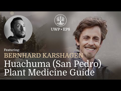 Universe Within Podcast Ep8 - Bernhard Karshagen - Huachuma (San Pedro) Plant Medicine Guide