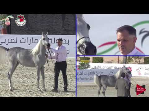 N.136 OUMNIA AL HAITHAM - Emirates AHBC