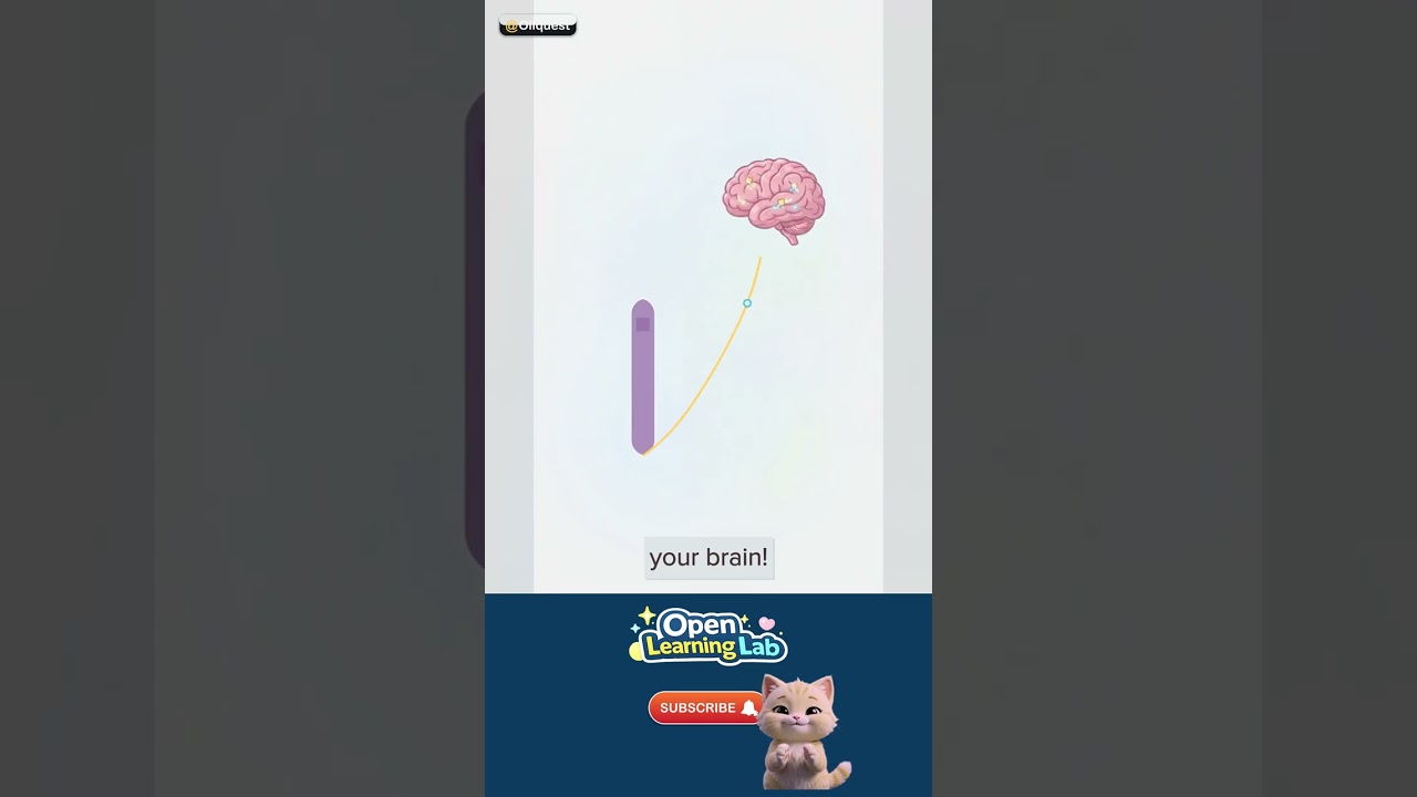Why Do We Have Taste Buds? — Spot it in real life 🚀 #Shorts