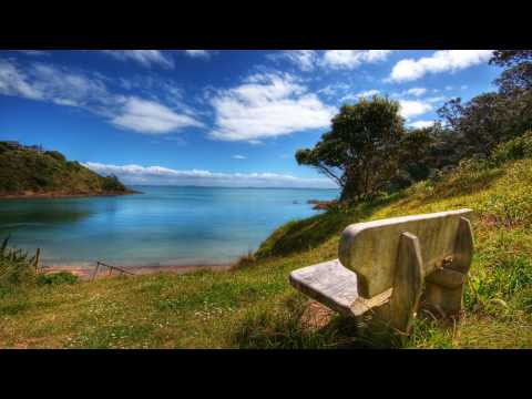 [HD] System Bot vs. 33 feat. Costa - Never Be Alone (Nitrous Oxide Remix)