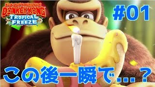 暖かい南国の島が一瞬で氷の島になる！？【トロピカルフリーズ】