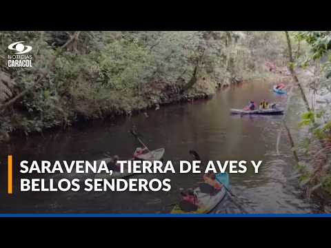 El Avión Colombia llegó a Saravena, Arauca: así es la vida, tradición y cultura de sus habitantes