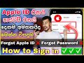 Apple ID Forgot Apple ID Forgot Icloud Password Recovery Apple ID Sinhala Apple Id Sinhala