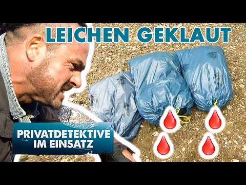 Entsetzlich❗️4 Leichen verschwunden | Privatdetektive im Einsatz