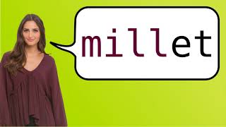 How to say 'millet' in French?