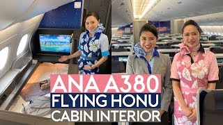 ANA A380 Flying Honu Cabin Tour Show