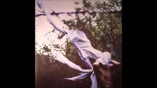 petre inspirescu - delir 4