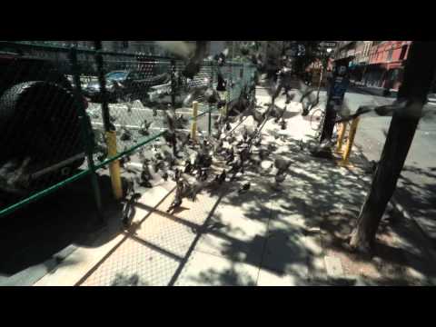trailer