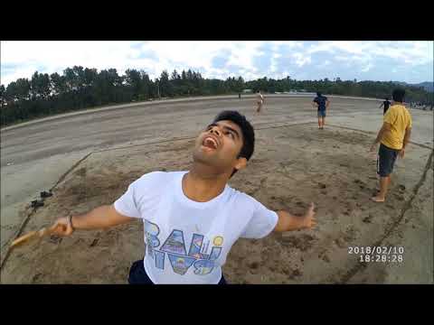 Cricket On The Beach