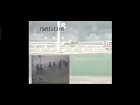 Pakistan Derby 2008 Win By Brave Act Ridden By Jockey Amir Pervaiz