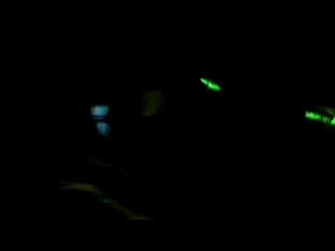 Tony j dj simi party n2