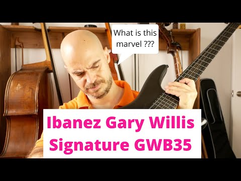 IBANEZ GWB35 BKF Black Flat / Gary Willis Signature / 5-String Fretless Bass / GWB35-BKF image 18