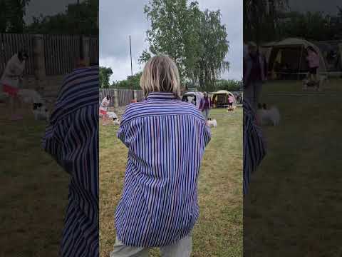 ♀️BLESK FORTUNI ORIGAMI, 17 months old